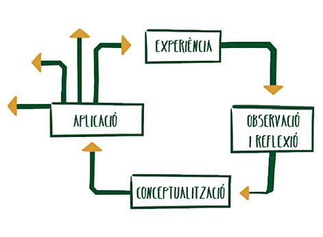 Curriculum design in geography